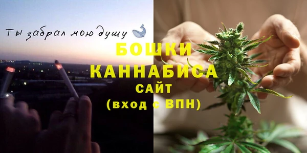 СК Аркадак