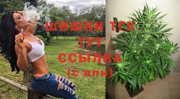 СК Аркадак