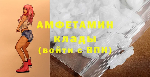 ГАЛЛЮЦИНОГЕННЫЕ ГРИБЫ Арсеньев